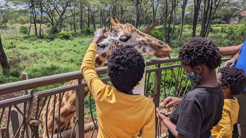 Discover the Best Stay in Nairobi at Cozy Crib Rentals