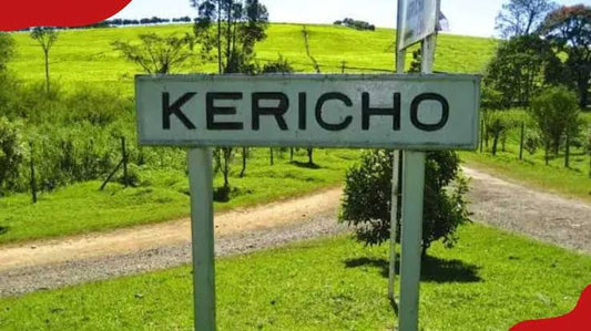 Discover the Ultimate BnB Experience in Kericho with Cozy Crib Rentals
